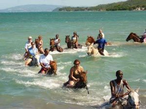 Horse back riding in Jamaica