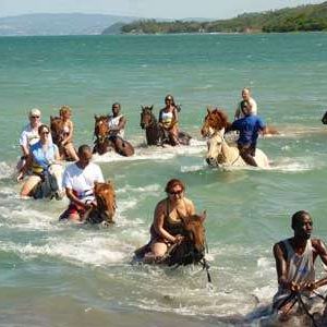 Horse back riding in Jamaica