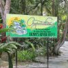 Dunn’s River Falls and River Tubing tour - Image 2